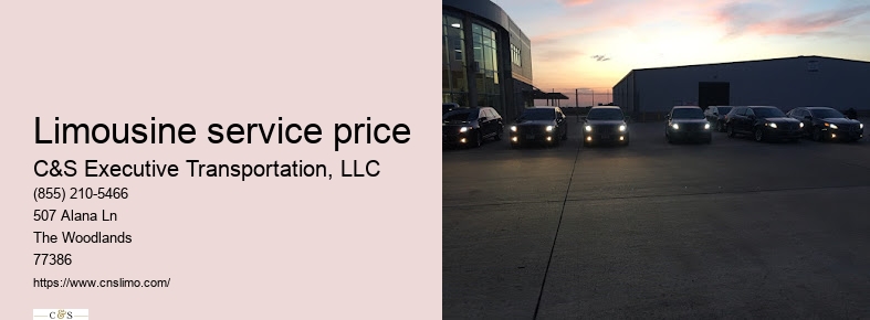 Chauffeur car service Houston