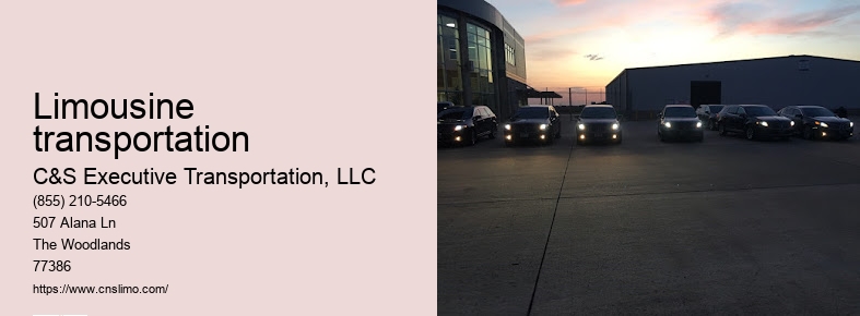 Luxury car service