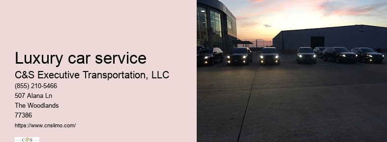 Chauffeur service Houston TX