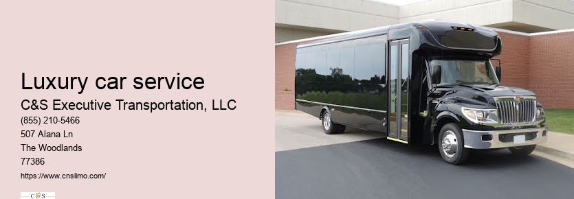 Black car service Houston