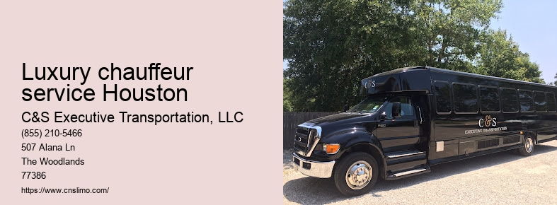 Bachelor party limo