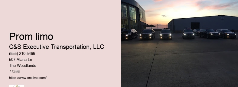 Limousine and car service