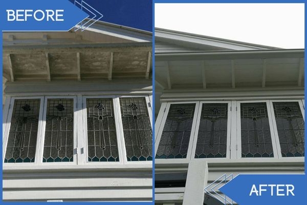 The Importance of Soft Washing vs. Pressure Washing