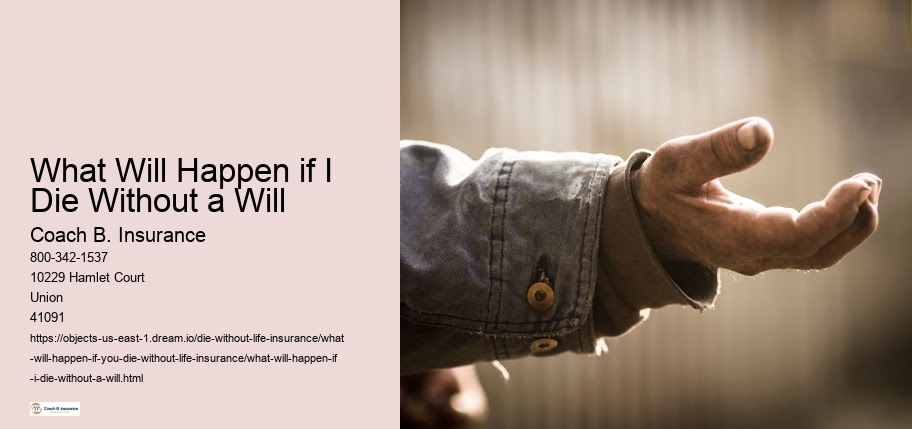 What Will Happen if I Die Without a Will