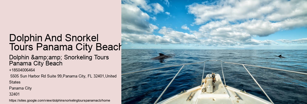 Panama City Beach Dolphin Tour With Snorkeling