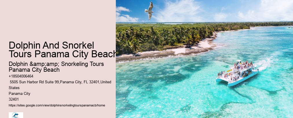 Snorkeling Tours In Panama City Beach Fl