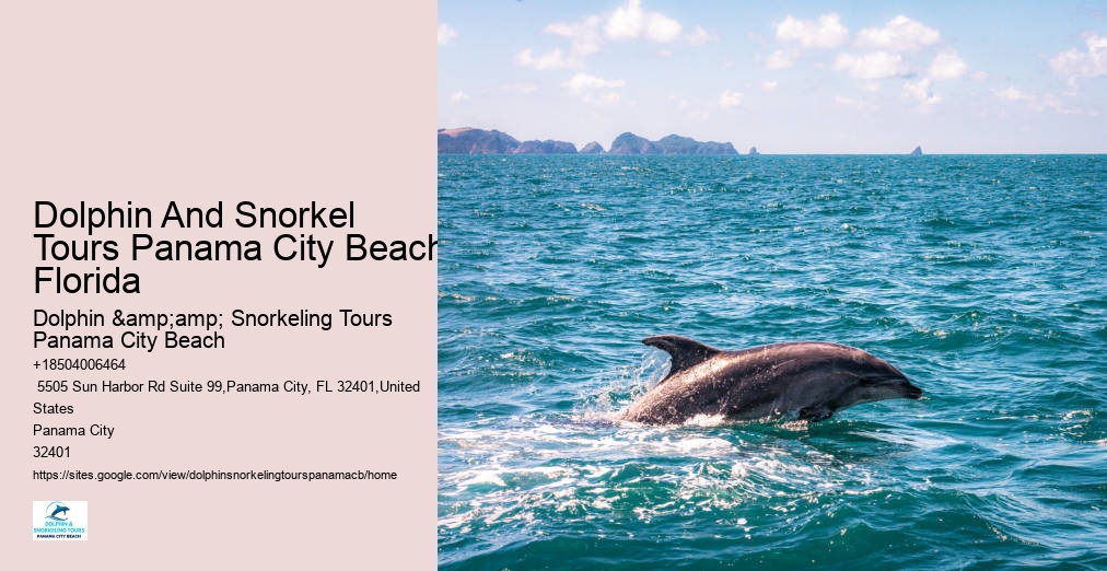 Panama City Beach Shell Island Dolphin And Snorkel Cruise
