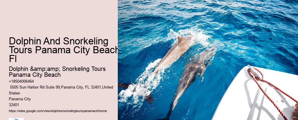 Dolphin And Snorkeling Tours Panama City Beach