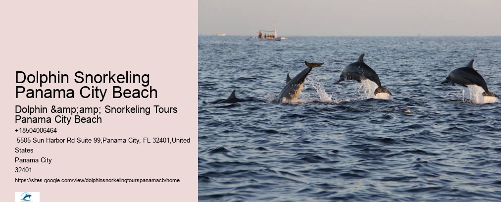 Snorkeling Trips Panama City Beach