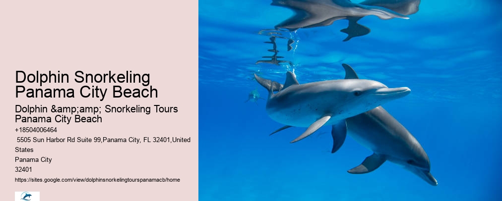 Snorkeling Tours In Panama City Beach Fl
