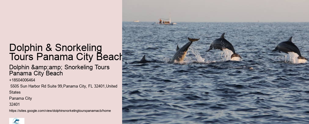 Dolphin And Snorkel Tours Panama City Beach