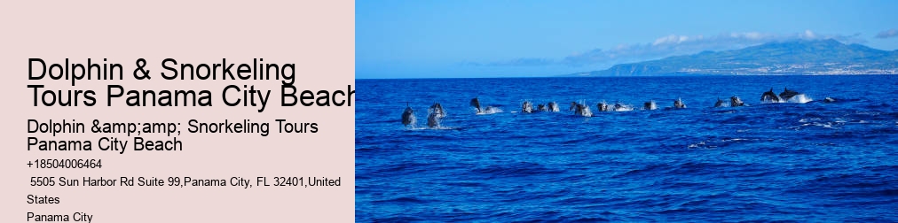 Dolphin And Snorkel Tours Panama City Beach Florida
