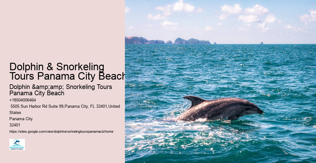 Dolphin And Snorkeling Tours Panama City Beach Fl