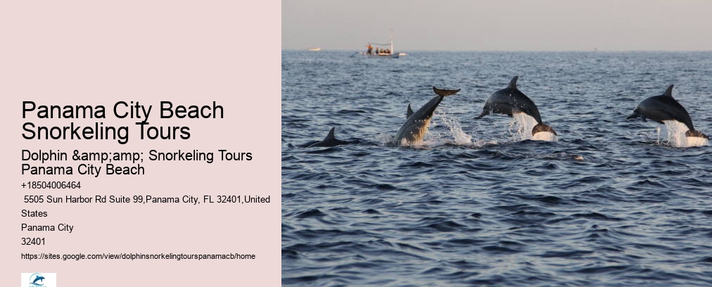 Shell Island Snorkel And Dolphin Catamaran Cruise