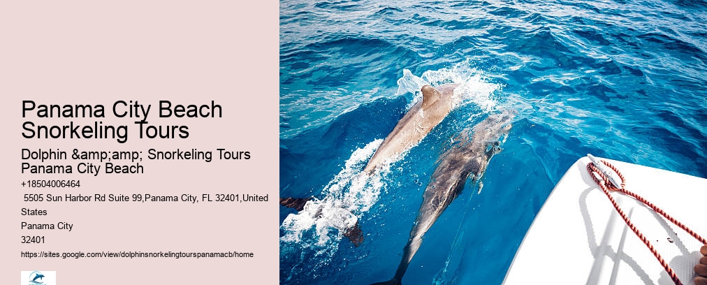 Snorkeling Tours Panama City Beach