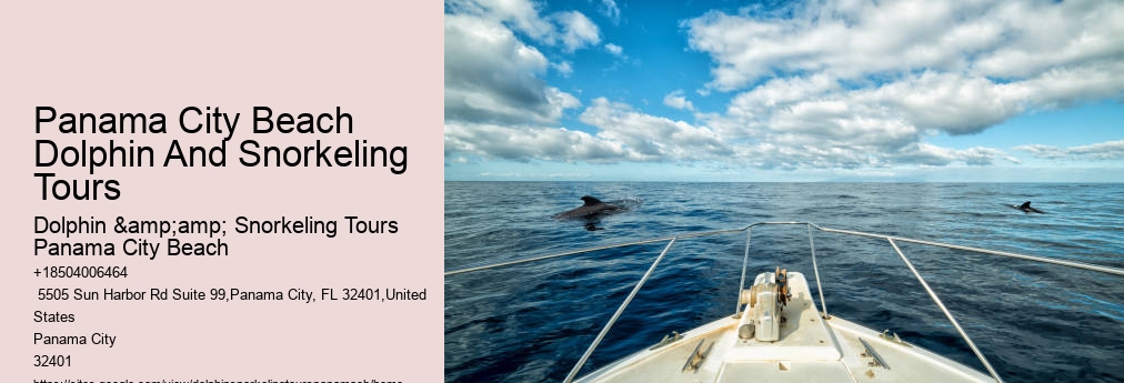 Dolphin And Snorkeling Tours Panama City Beach Fl