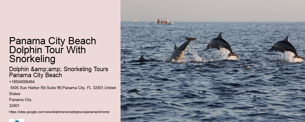 Dolphin & Snorkeling Tours Panama City Beach