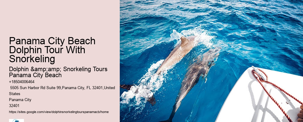 Dolphin And Snorkel Tours Panama City Beach Florida