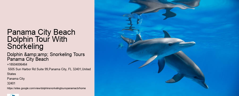 Dolphin Snorkeling Panama City Beach