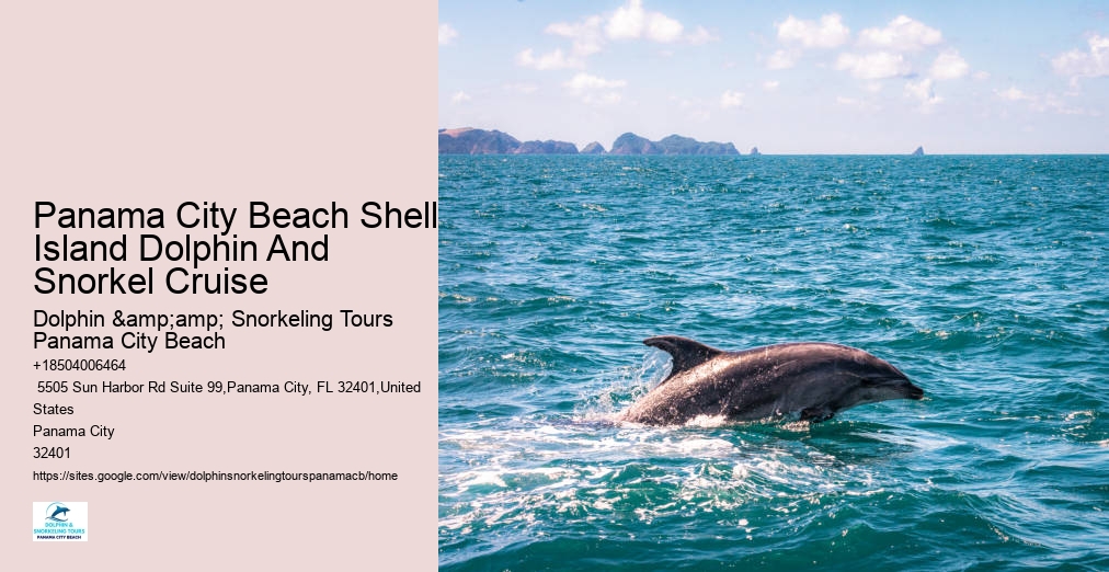 Dolphin And Snorkeling Tours Panama City Beach