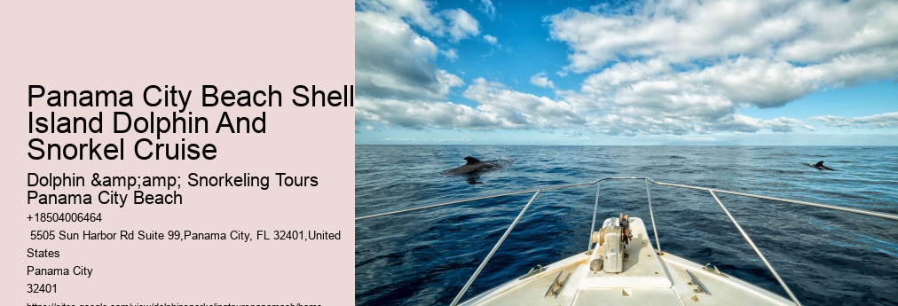 Dolphin And Snorkeling Tours Panama City Beach Fl