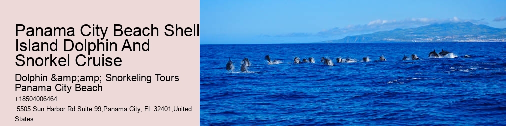 Snorkeling Tours Panama City Beach