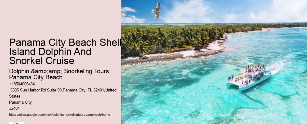 Shell Island Snorkeling Panama City Beach