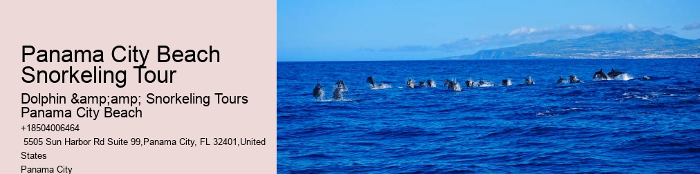 Dolphin & Snorkeling Tours Panama City Beach