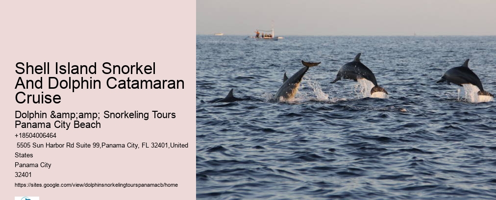 Shell Island Snorkel And Dolphin Catamaran Cruise