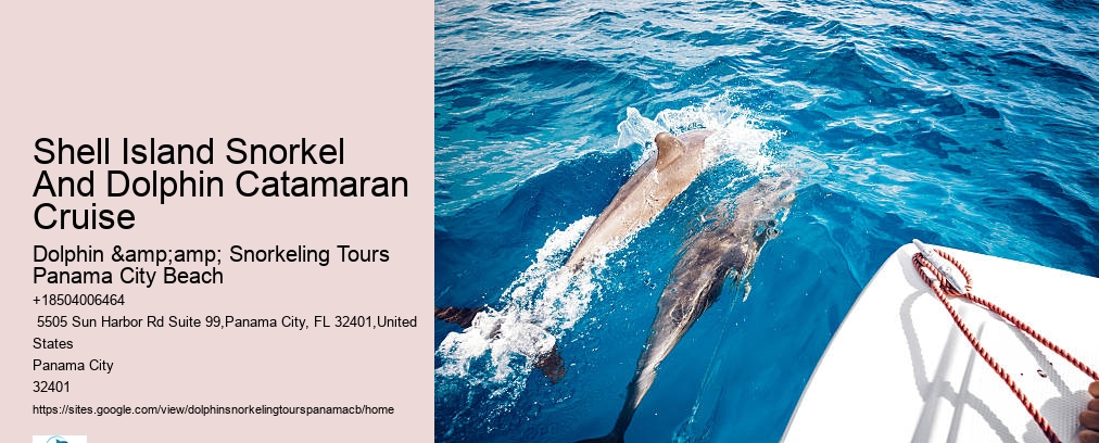 Panama City Beach Snorkeling Tours