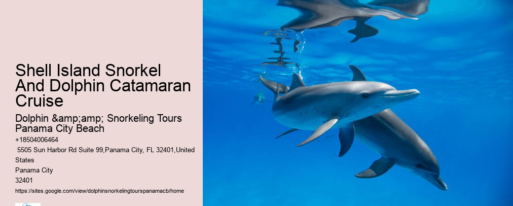 Dolphin And Snorkeling Tours Panama City Beach