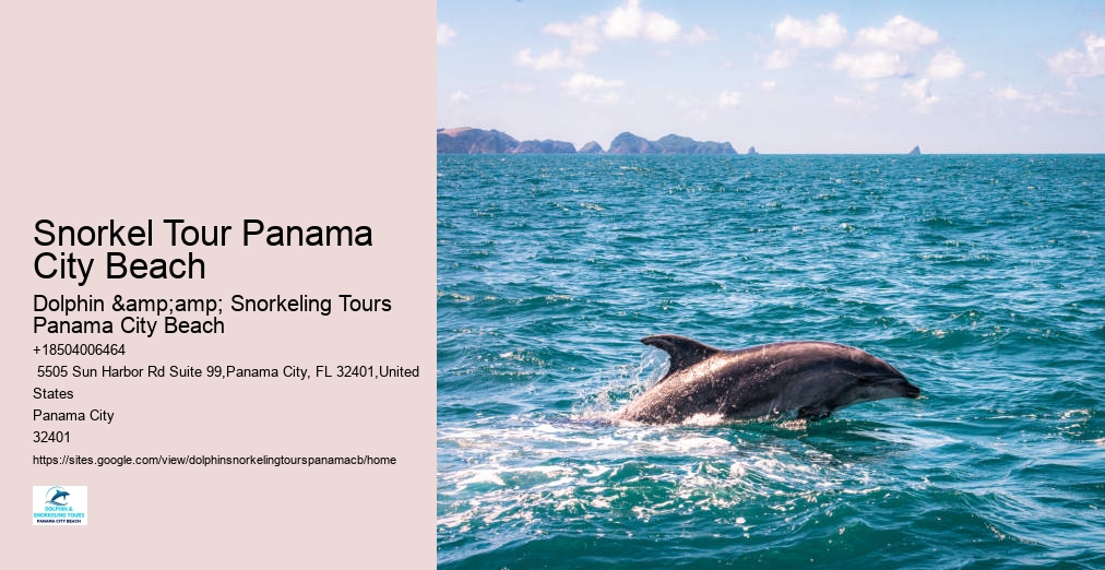 Panama City Beach Shell Island Dolphin And Snorkel Cruise