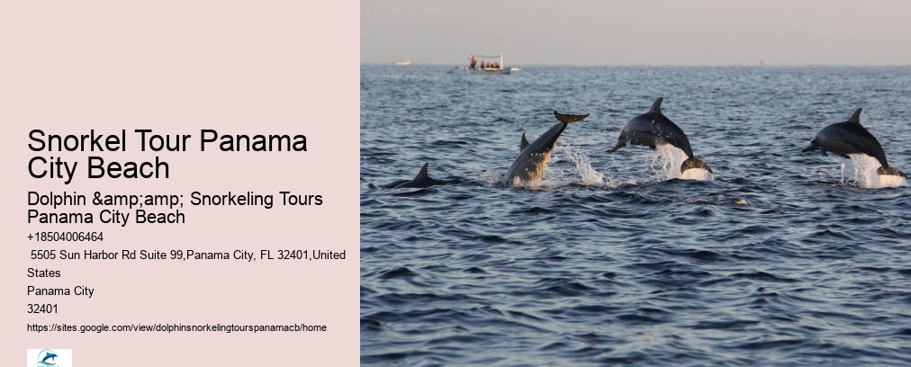 Snorkeling Tours Panama City Beach