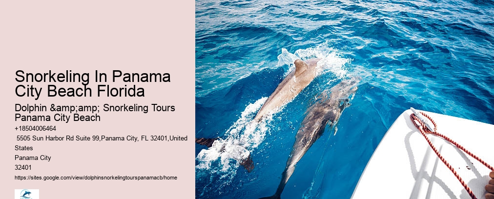 Dolphin & Snorkeling Tours Panama City Beach
