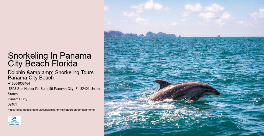 Dolphin & Snorkeling Tours Panama City Beach