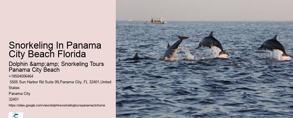 Dolphin & Snorkeling Tours Panama City Beach