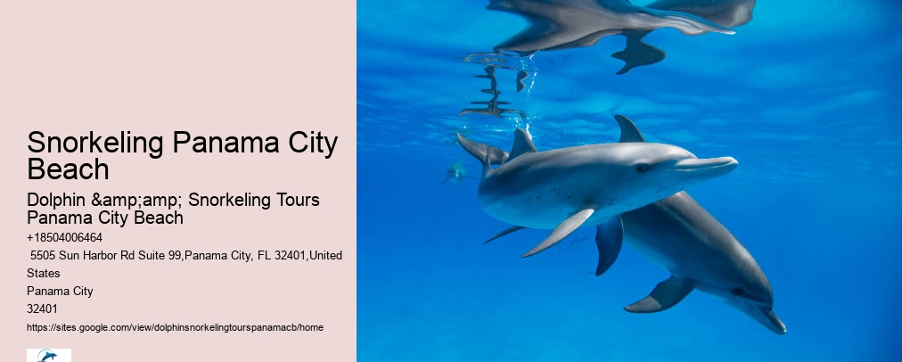 Snorkeling In Panama City Beach Florida