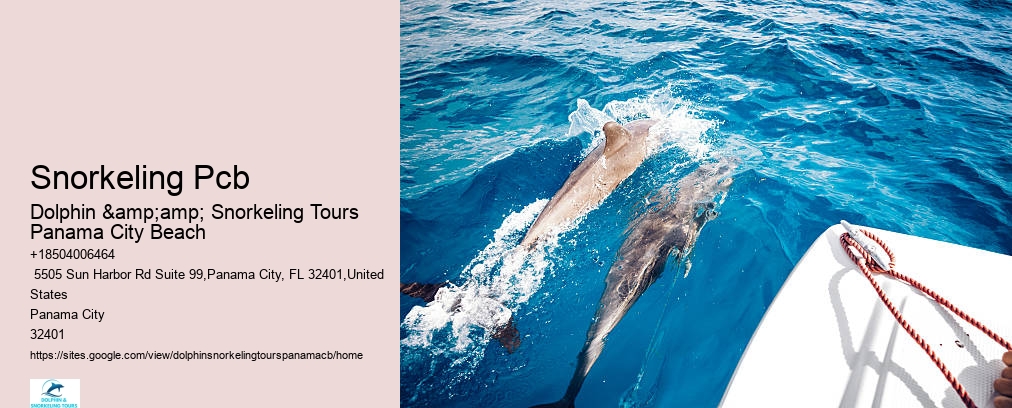 Snorkeling Trips Panama City Beach