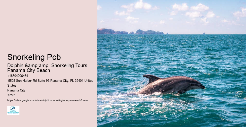 Dolphin And Snorkeling Tours Panama City Beach