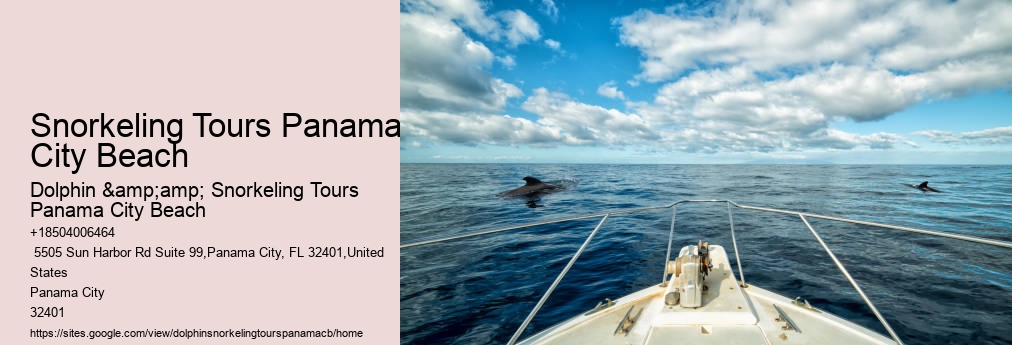 Panama City Beach Snorkeling Tours