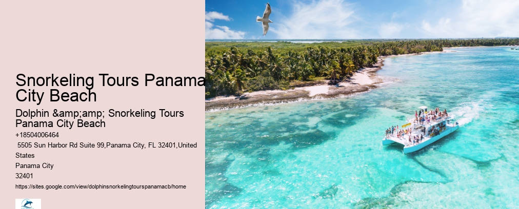 Snorkeling Trips Panama City Beach
