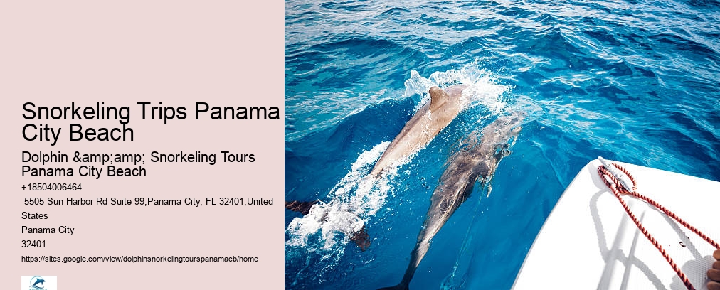 Panama City Beach Snorkeling Tours