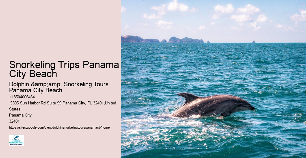 Snorkeling Panama City Beach