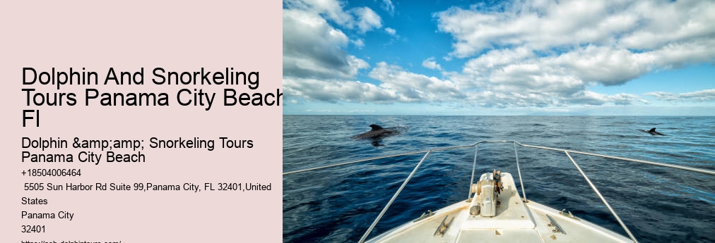 Dolphin And Snorkel Tours Panama City Beach