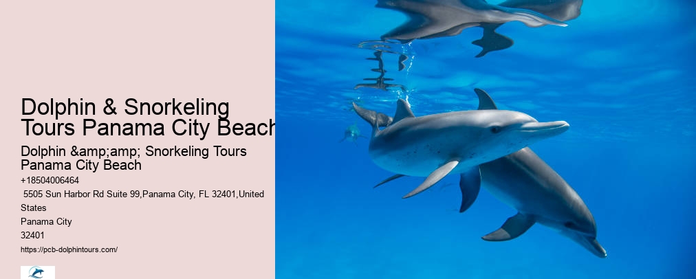 Panama City Beach Snorkeling Tours