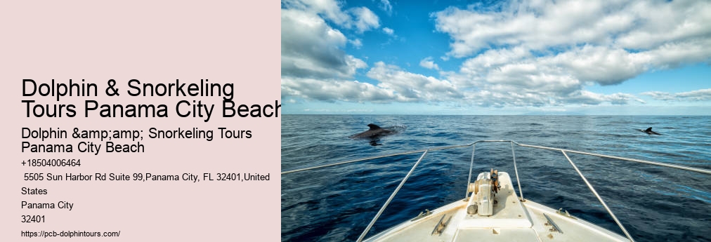 Dolphin & Snorkeling Tours Panama City Beach