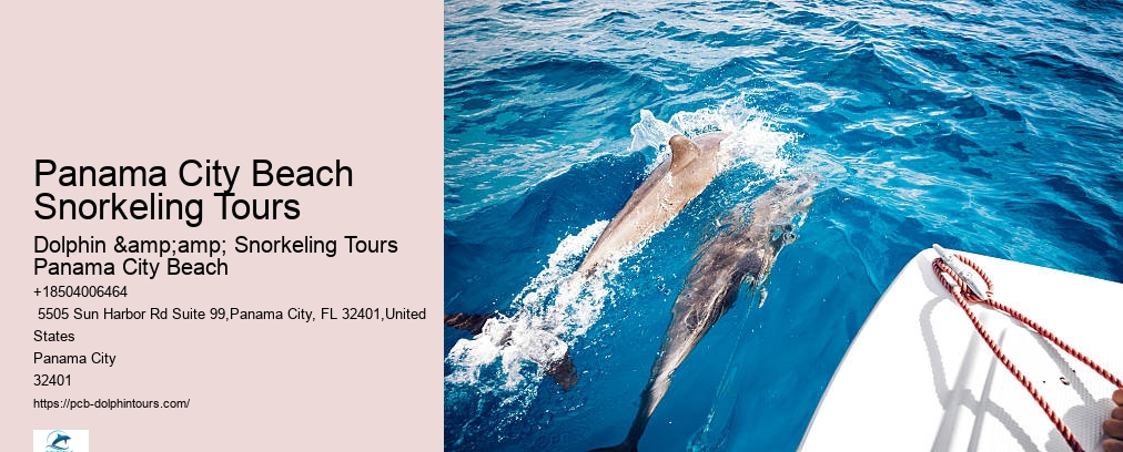 Dolphin And Snorkel Tours Panama City Beach