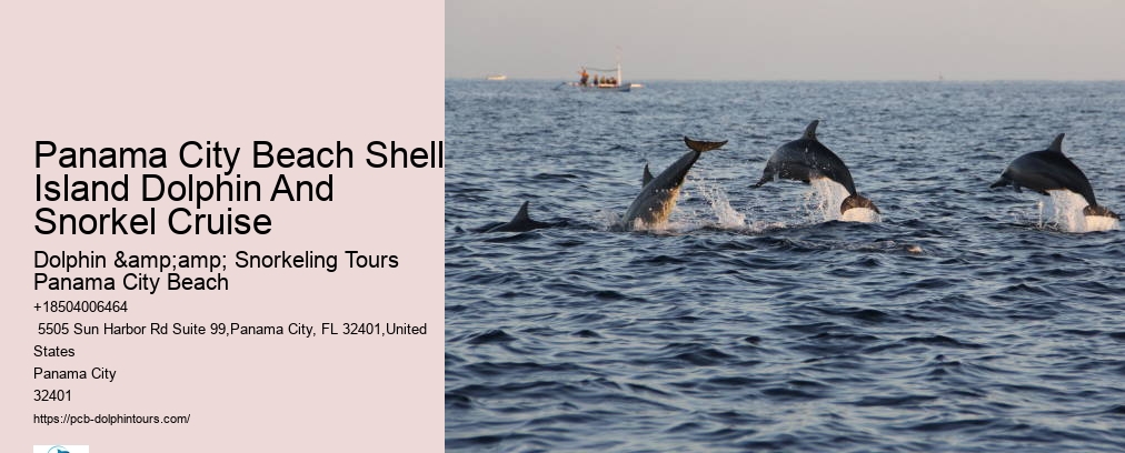 Panama City Beach Dolphin And Snorkeling Tours