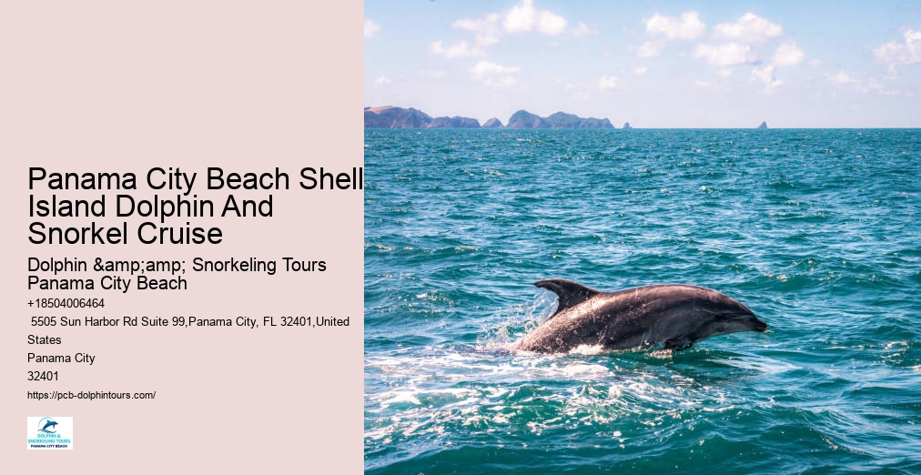 Shell Island Snorkeling