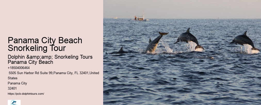 Snorkeling Tours Panama City Beach